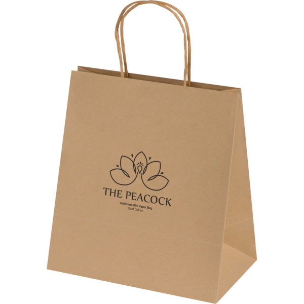 Ashdown Mini Paper Gift Bag - Kraft - 150GSM