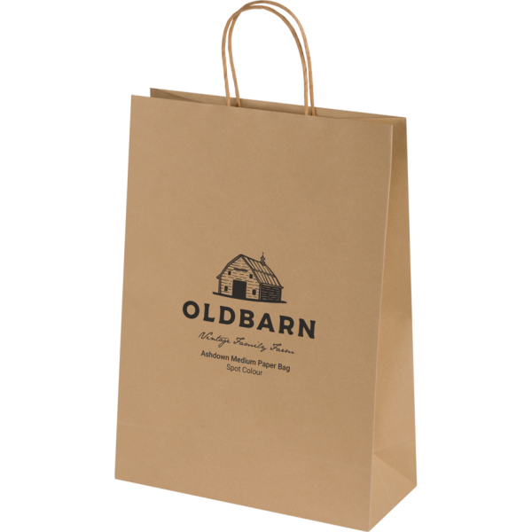 Ashdown Medium Paper Gift Bag - Kraft - 150GSM