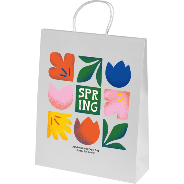 Ashdown Large Paper Gift Bag - White - 200GSM