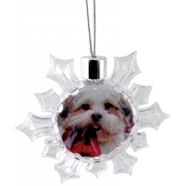 Snowflake Ornament - Clear